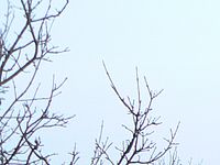 Výřez | Petr Koritina Výřez