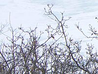 Výřez | Petr Koritina Výřez