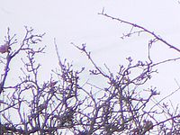 Výřez | Petr Koritina Výřez