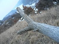 Normal | Petr Koritina Normal