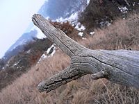 Různé | Petr Koritina Různé