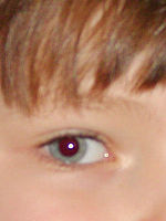 Výřez (R) | © Petr Koritina Výřez (R)