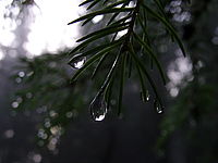 1/80 s, f/4.00, f=6.30 mm, ISO: 100 | © Petr Koritina 1/80 s, f/4.00, f=6.30 mm, ISO: 100