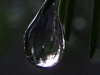 Výřez (R) | © Petr Koritina Výřez (R)