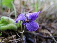 1/50 s, f/3.10, f=6.30 mm, ISO: 100 | © Petr Koritina 1/50 s, f/3.10, f=6.30 mm, ISO: 100