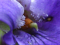 Výřez (R) | © Petr Koritina Výřez (R)