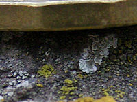 Výřez (R) | © Petr Koritina Výřez (R)