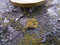 1.0 s, f/2.80, f=6.30 mm, ISO: 200 | © Petr Koritina 1.0 s, f/2.80, f=6.30 mm, ISO: 200