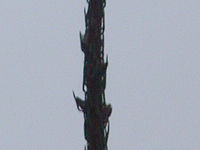 Výřez (R) | © Petr Koritina Výřez (R)