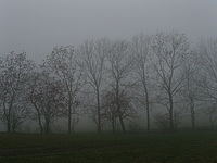 1/400 s, f/4.00, f=6.30 mm, ISO: 100 | © Petr Koritina 1/400 s, f/4.00, f=6.30 mm, ISO: 100