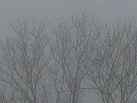 Výřez (R) | © Petr Koritina Výřez (R)