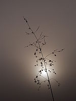 1/1500 s, f/8.50, f=15.40 mm, ISO: 100 | © Petr Koritina 1/1500 s, f/8.50, f=15.40 mm, ISO: 100