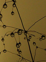 Výřez (R) | © Petr Koritina Výřez (R)