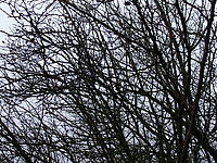 1/60 s, f/4.00, f=6.30 mm, ISO: 100 (R) | © Petr Koritina 1/60 s, f/4.00, f=6.30 mm, ISO: 100 (R)