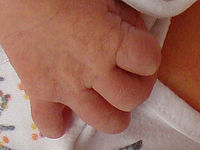 Výřez (R), 1/40 s, f/2.70, F/5.20 mm, ISO: 320 | © Petr Koritina Výřez (R), 1/40 s, f/2.70, F/5.20 mm, ISO: 320