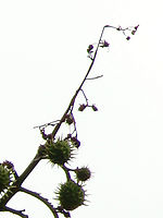 Výřez (R), 1/400 s, f/5.60, F/78.00 mm, ISO: 80 | © Petr Koritina Výřez (R), 1/400 s, f/5.60, F/78.00 mm, ISO: 80