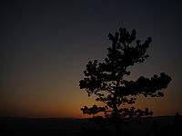 Náhled, 1/800 s, f/5.60, F/5.20 mm, ISO: 80 | © Petr Koritina Náhled, 1/800 s, f/5.60, F/5.20 mm, ISO: 80