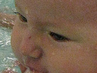 Výřez (R) 1/50 s,F4.3,ISO: 800,f 338 mm (35mm ekv.) | (c) Petr Koritina Výřez (R) 1/50 s,F4.3,ISO: 800,f 338 mm (35mm ekv.)