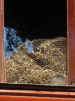 Výřez (R) 1/320 s,F4.3,ISO: 80,f 338 mm (35mm ekv.) | (c) Petr Koritina Výřez (R) 1/320 s,F4.3,ISO: 80,f 338 mm (35mm ekv.)