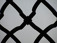 Náhled | (c) Petr Koritina Náhled