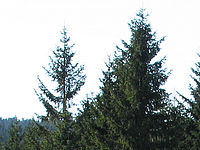 Výřez (R) 1/400 s,F4.0,ISO: 80,f 81 mm (35mm ekv.) | (c) Petr Koritina Výřez (R) 1/400 s,F4.0,ISO: 80,f 81 mm (35mm ekv.)