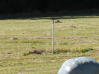 Výřez (R) 1/400 s,F4.0,ISO: 80,f 81 mm (35mm ekv.) | (c) Petr Koritina Výřez (R) 1/400 s,F4.0,ISO: 80,f 81 mm (35mm ekv.)