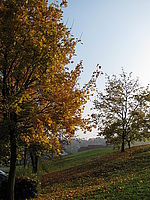 Náhled | (c) Petr Koritina Náhled