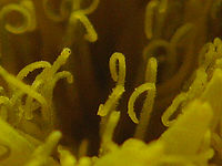 Výřez (R) 1/250 s,F2.8,ISO: 125,f 34 mm (35mm ekv.) | (c) Petr Koritina Výřez (R) 1/250 s,F2.8,ISO: 125,f 34 mm (35mm ekv.)