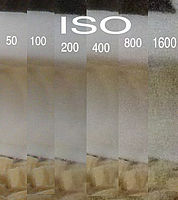 Šum | Jiří Beneš Šum