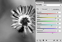 Převod do ČB v Adobe Photoshop Převod do ČB v Adobe Photoshop
