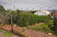 Johannesburg | (c) Helena Macenauerová Johannesburg