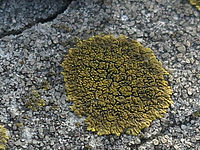 Výřez (R), F3.5; 1/1000 s; ISO: 800,Ohnisková vzdálenost: 18.33 mm | (c) Petr Koritina Výřez (R), F3.5; 1/1000 s; ISO: 800,Ohnisková vzdálenost: 18.33 mm