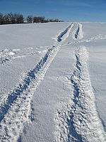 Náhled, F5.0; 1/1250 s; ISO: 100,Ohnisková vzdálenost: 15.10 mm | (c) Petr Koritina Náhled, F5.0; 1/1250 s; ISO: 100,Ohnisková vzdálenost: 15.10 mm