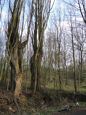 1/250 s, f/2.0, ISO: 80, Ohnisková vzdálenost (EQ35mm): 28 mm | (c) Petr Koritina 1/250 s, f/2.0, ISO: 80, Ohnisková vzdálenost (EQ35mm): 28 mm