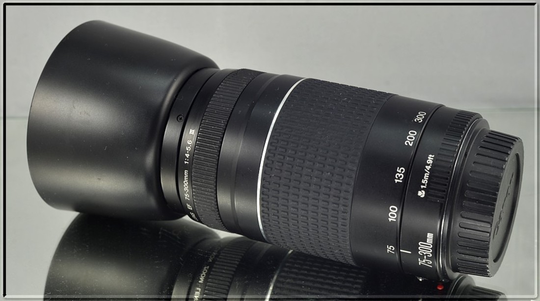 f/4-5.6 *TELE-ZOOM* III Canon EF 75-300mm